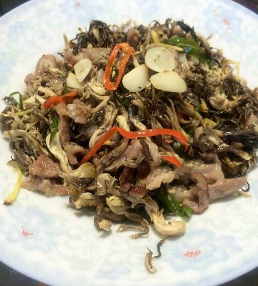 刷把菌05.jpg
