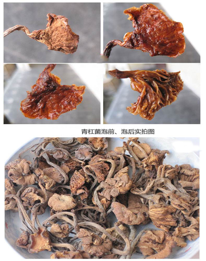 青杠菌05.jpg