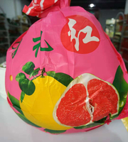 红柚子5/斤
